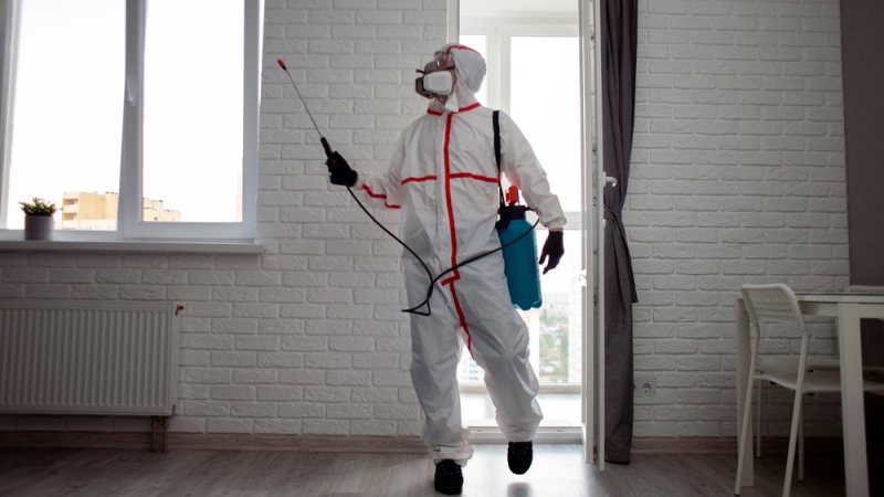 The Reasons for Hiring Bedbug Exterminators